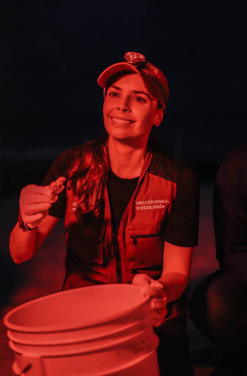 uploads/6/32/01 (2599).Jpeg